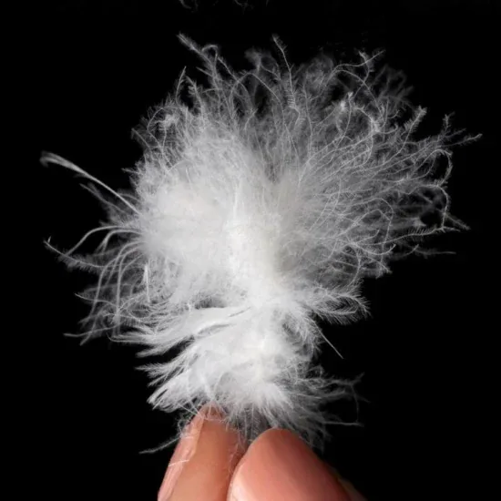 Detalhe da pluma de ganso