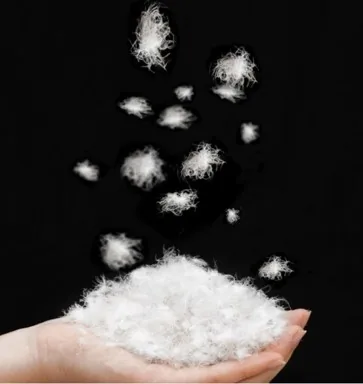 Plumas de ganso selecionadas